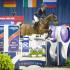 The Masters and the Young Guns: The United Statesâ€™ Lauren Hough Tops a Competitive Field in the FEI World Cupâ„¢ Jumping Washington